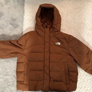 The North Face Chestnut Hooded Puffer Jacket